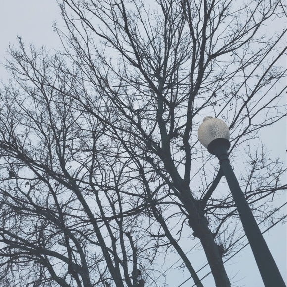 ✨️Hello! ✨️ - Picture 3 of 5